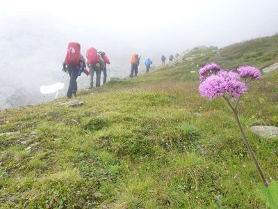 005-Aufstieg zur Grieskogelscharte